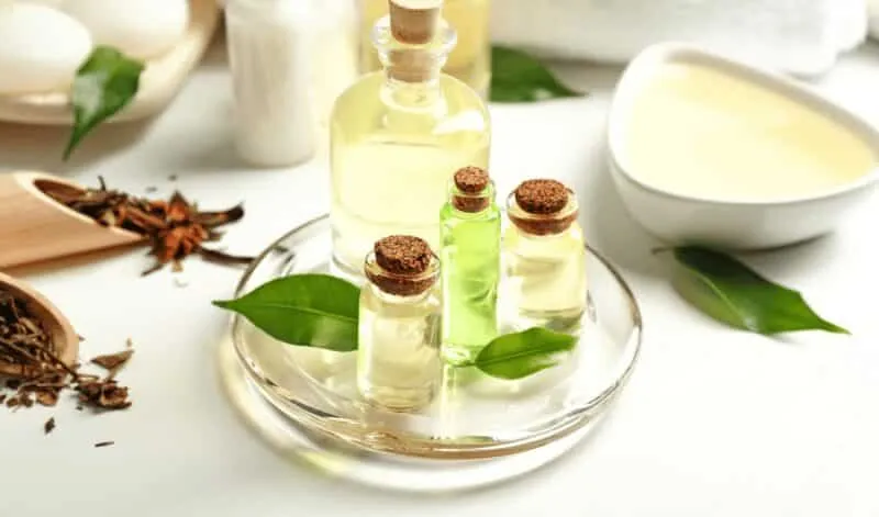 Tinh dầu tràm trà (tea tree oil) giúp kháng khuẩn và giảm viêm nang tóc hiệu quả