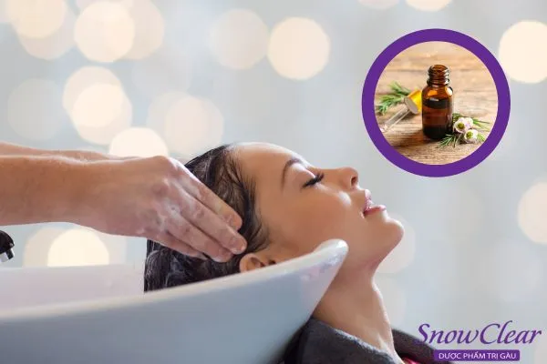Tinh dầu tràm trà (Tea Tree Oil) với khả năng kháng nấm mạnh mẽ.